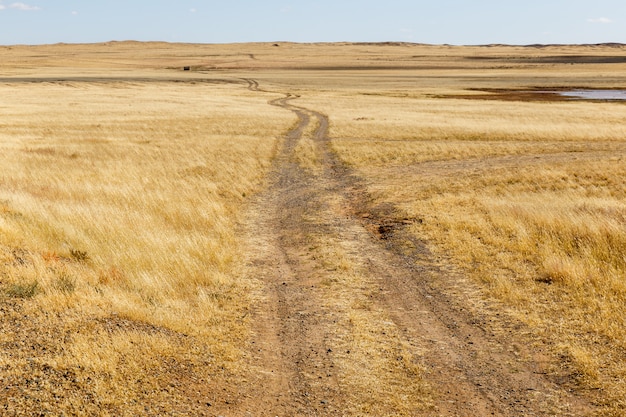 Strada rurale nella steppa, deserto Gobi