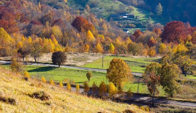 Strada secondaria sporca in autunno Montagna dei Carpazi Ucraina