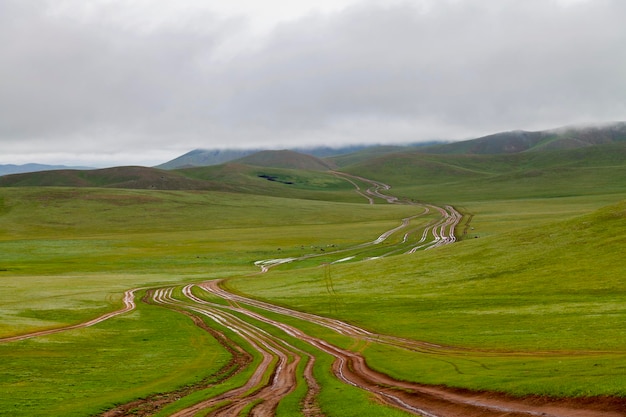 Strada sterrata a più corsie in Mongolia