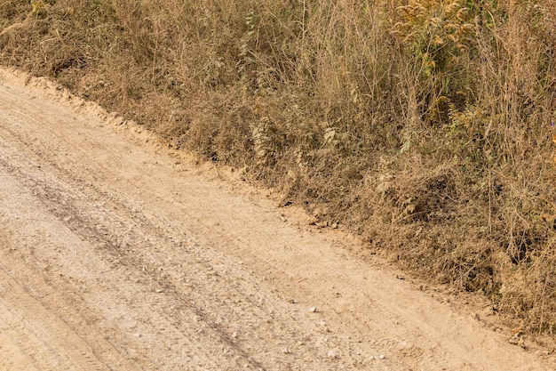 Strada sterrata asciutta e polverosa con boschetti di erba selvatica su un lato