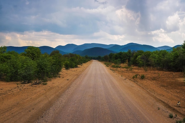 Strada sterrata C43 nella regione di Kunene nella Namibia nordoccidentale