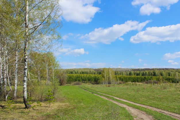 Strada sterrata che passa attraverso un campo e nel bosco