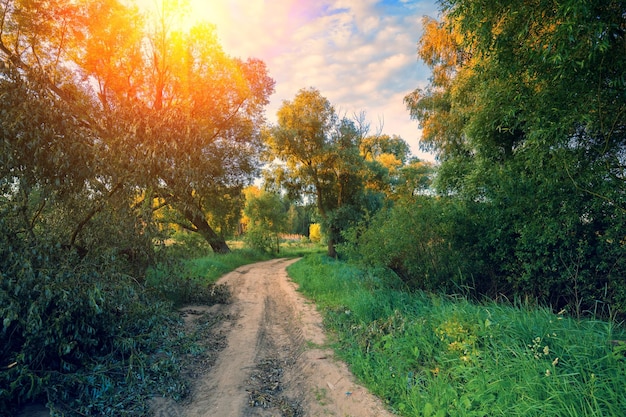 Strada sterrata con il blu del cielo nuvoloso al tramonto Bella serata natura paesaggio rurale primavera