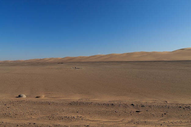 Strada sterrata dalla Skeleton Coast, Namibia