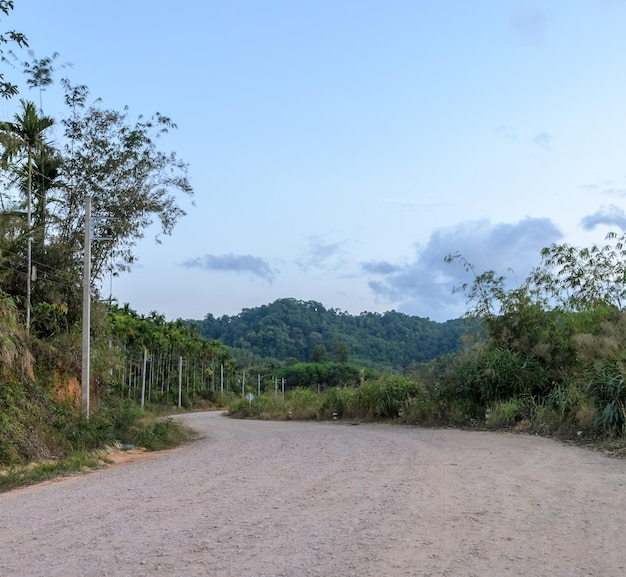 Strada sterrata di campagna al mattino