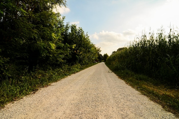 Strada sterrata di campagna che attraversa i campi nel nord Italia