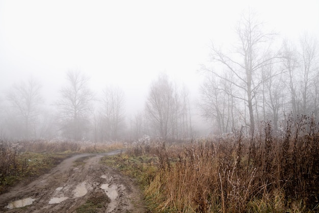 Strada sterrata fangosa con pozzanghere dopo la pioggia nel campo nel paesaggio nebbioso del mattino autunnale