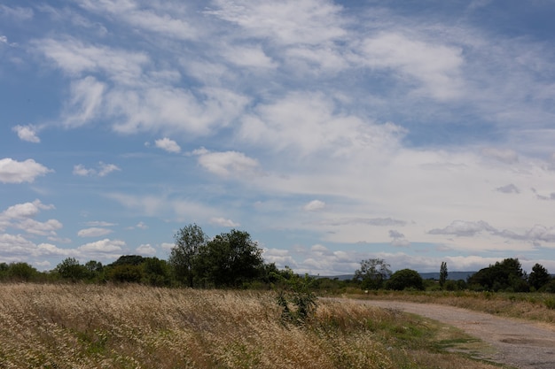 Strada sterrata in campagna con un bel cielo nuvoloso di giorno