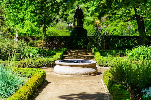 Strada sterrata in un bellissimo parco di piante verdi e piccola fontana in pietra