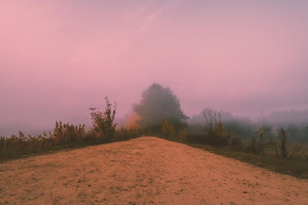 Strada sterrata in una mattina nebbiosa di inizio autunno Paesaggio rurale