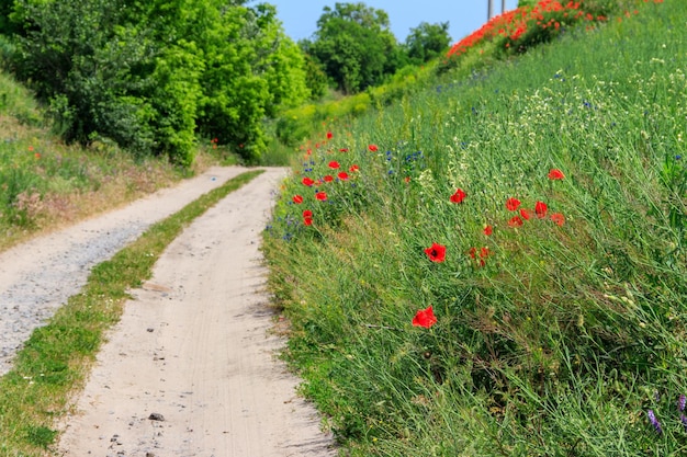 Strada sterrata lungo un prato verde