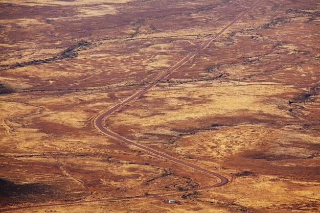 Strada sterrata nel bush africano, Namibia