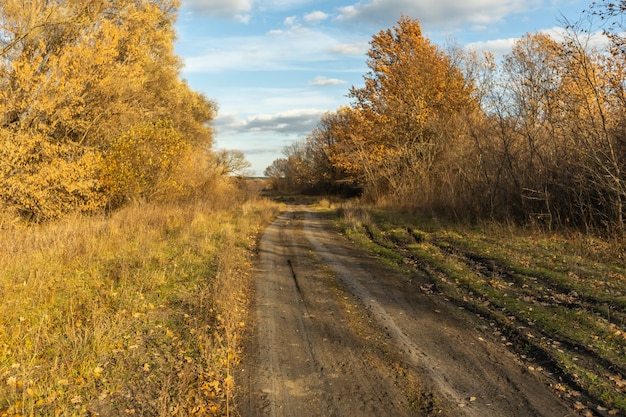 Strada sterrata nel campo autunnale