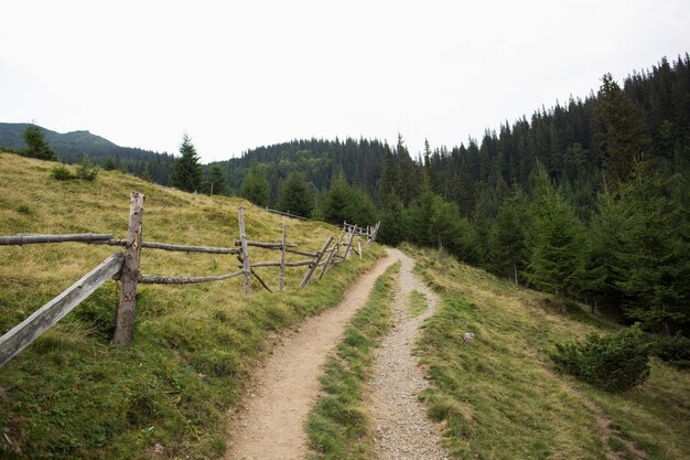 Strada sterrata nel verde delle montagne per turisti ed escursioni