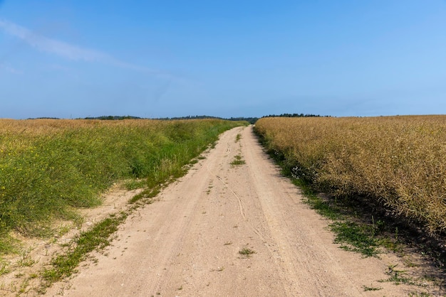 Strada sterrata nelle zone rurali