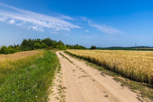 Strada sterrata nelle zone rurali