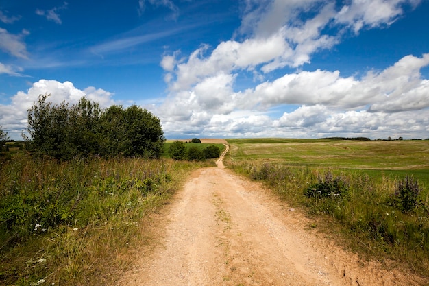 Strada sterrata rurale che passa attraverso un campo dell'azienda agricola