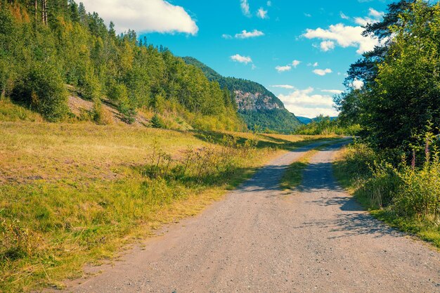 Strada sterrata rurale nella foresta ai piedi delle montagne