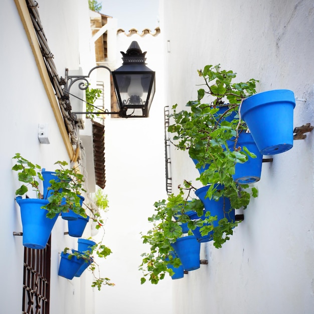 Strada stretta con fiori a Cordoba