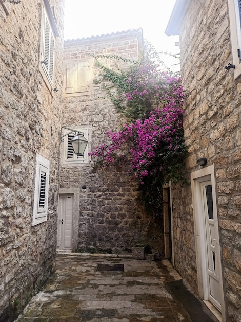 Strada stretta con lanterna e fiori nella città vecchia di Budva Montenegro