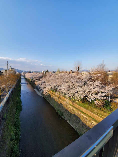 Strada sul canale contro un cielo blu limpido