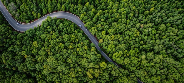 Strada tortuosa nel bosco vista dall'alto banner IA generativa