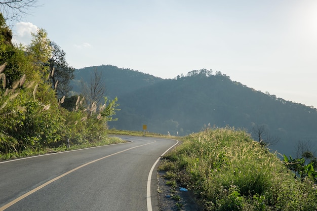 Strada tra gli alberi contro un cielo limpido