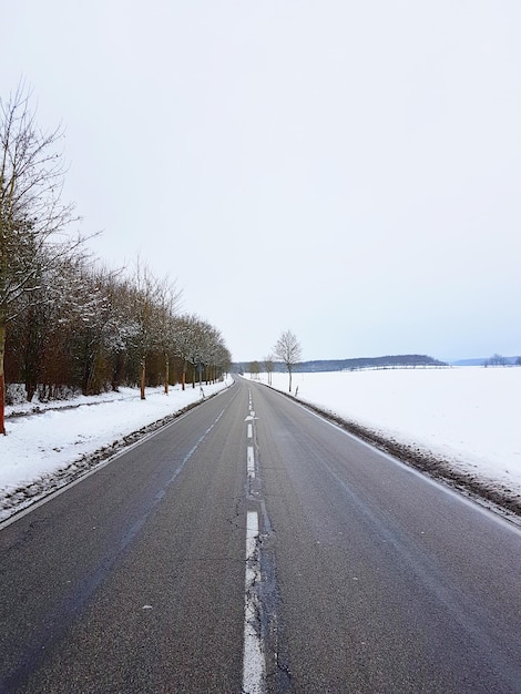 Strada tra gli alberi contro un cielo limpido