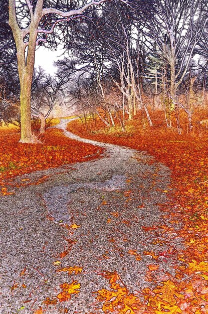 Strada tra gli alberi durante l'autunno