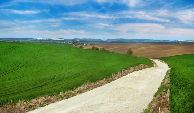 Strada tra il verde campo di grano invernale, e splendidi paesaggi collinari di campi arati