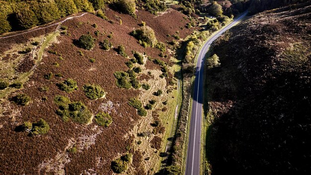 Strada tra montagne e alberi