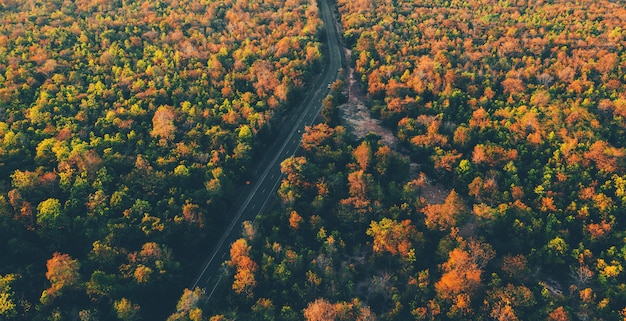 strada vista dall&#39;alto con la foresta colorata in campagna