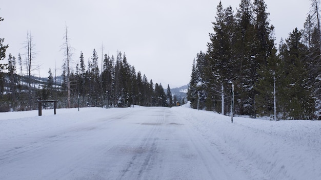 Strada vuota di inverno nel parco nazionale di Great Teton.