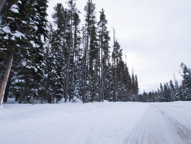 Strada vuota di inverno nel parco nazionale di Great Teton.