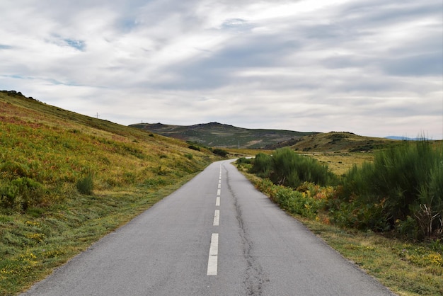 Strada vuota lungo il paesaggio rurale