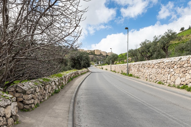 Strada vuota lungo piante e alberi contro il cielo