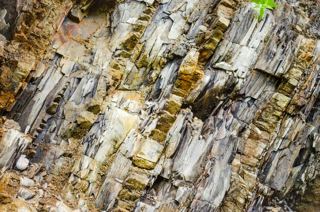 Strati di rocce rocciose sotto forma di una trama con uno stallo leccato