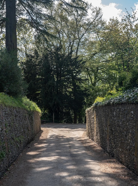 Stretto sentiero tradizionale in pietra che conduce alla foresta