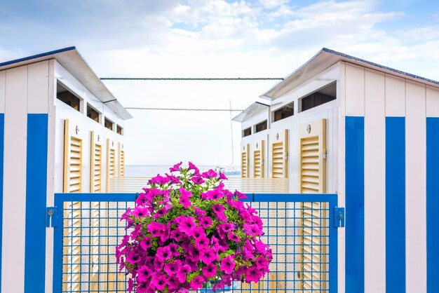 Strisce blu cambiando cabine e fiori viola in spiaggia