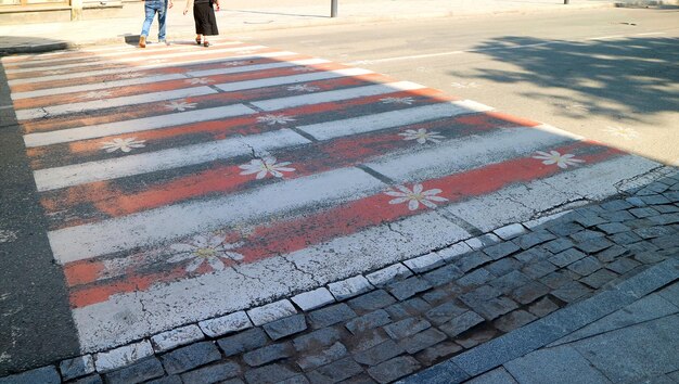 Strisce rosse e bianche con fiori dipinti Crosswalk sulla strada del centro cittadino di Kutaisi, Georgia