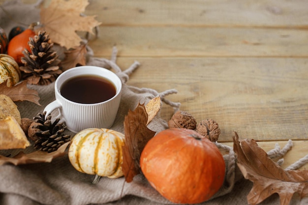 Striscione rurale autunnale Calda tazza di tè zucche foglie autunnali sciarpa accogliente su tavolo in legno rustico con spazio per il testo Hygge autunno Happy Thanksgiving Fall still life