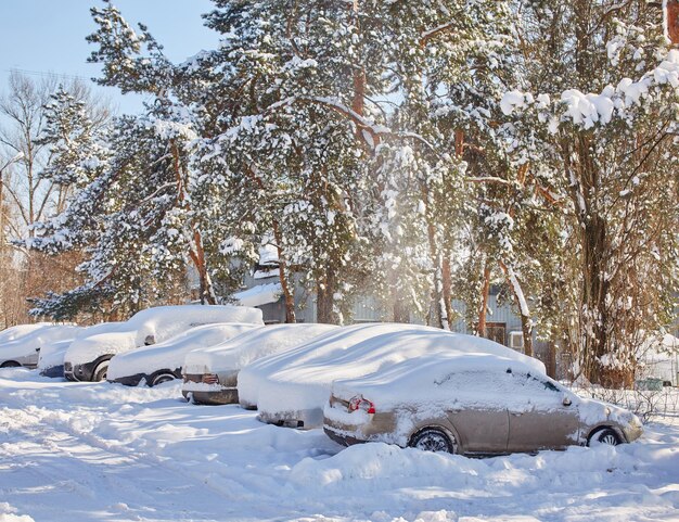 Strofina le auto completamente ricoperte di neve e un'auto rossa parzialmente scavata nel parcheggio nel cortile della città