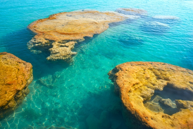 Stromatoliti nella laguna di Bacalar del Messico