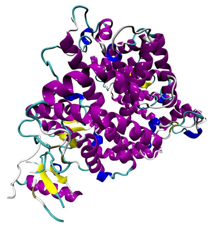 Struktur 3D protein ACE2 manusia, reseptor untuk coronavirus SARS-CoV-2, penyebab COVID-19. PDB 1R42