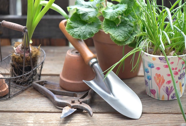 strumenti da giardino con una piccola pala su un tavolo di legno tra vaso da fiore e pianta in terrazza
