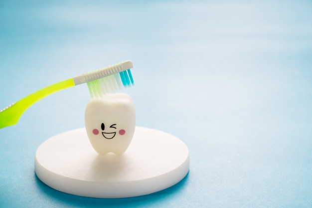 Strumenti dentali e modello dei denti da sorriso