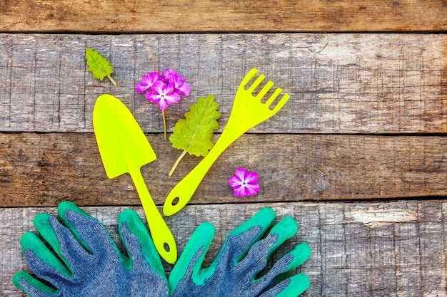 Strumenti di giardinaggio su fondo di legno