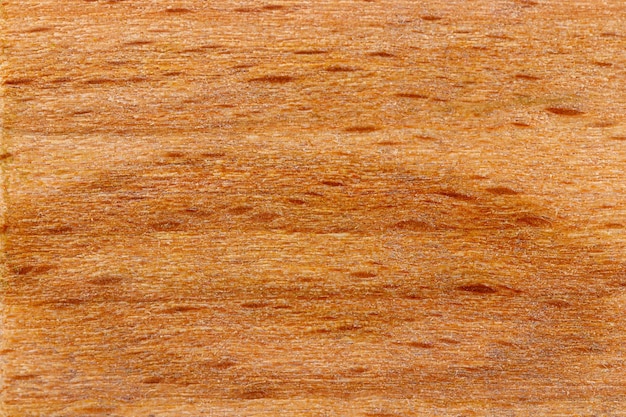 Struttura a macroistruzione di legno giallo