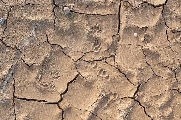 Struttura a terra incrinata asciutta del fondo