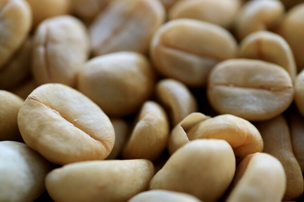 Struttura alta chiusa dei chicchi di caffè non arrostiti, fondo